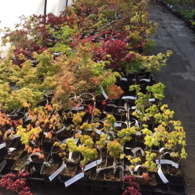 176778078_2810516975853302_40821840807580699_n