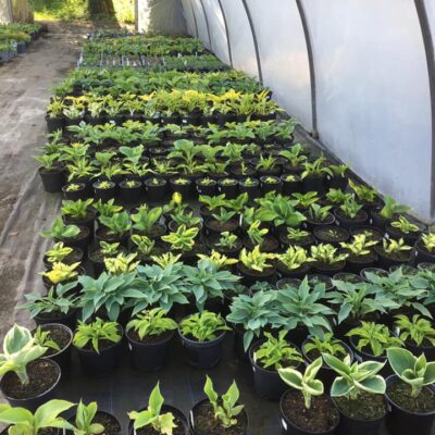 177328209_2810516992519967_6963720474759690055_n