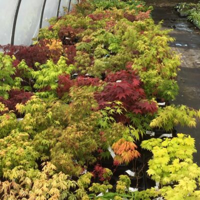 186541724_2824500861121580_2304084814834500343_n