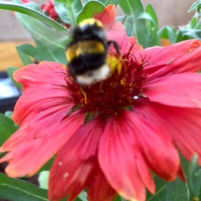 211467090_2860113027560363_5995389644524760510_n