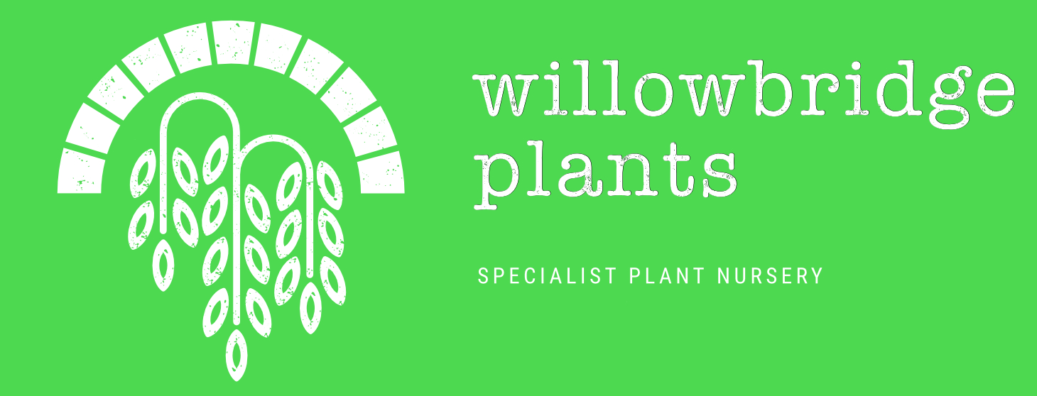 Willowbridge Plants